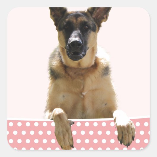 Deutscher Schäferhund Hund Pink Polka Dots Quadratischer Aufkleber (Vorderseite)