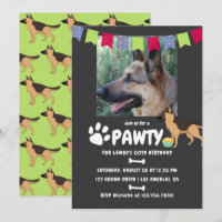 Deutscher Schäferhund Hund zum Geburtstag Foto
