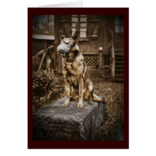 Deutscher Schäferhund in Gasmaske