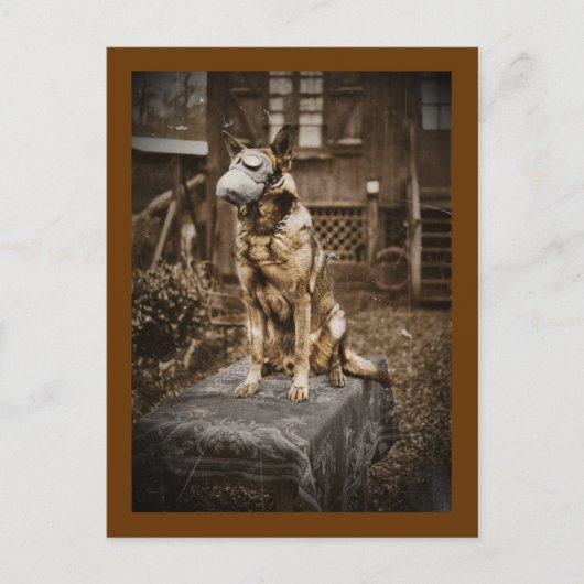Deutscher Schäferhund in Gasmaske Postkarte (Vorderseite)
