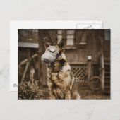 Deutscher Schäferhund in Gasmaske Postkarte (Vorne/Hinten)