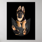 Deutscher Schäferhund in Pocket T - Shirt Funny Do Poster (Vorne)