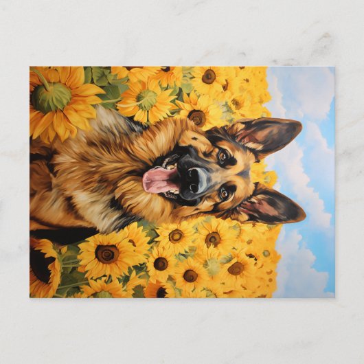 Deutscher Schäferhund in Sonnenblumen Postkarte (Vorderseite)