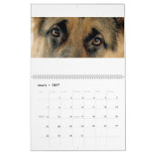 Deutscher Schäferhund Kalender (Mär 2027)