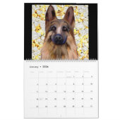 Deutscher Schäferhund Kalender (Jan 2026)