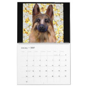 Deutscher Schäferhund Kalender (Jan 2027)