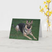 Deutscher Schäferhund Karte (Gelbe Blume)