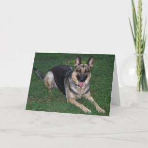Deutscher Schäferhund Karte