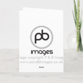 Deutscher Schäferhund Karte (Rückseite)