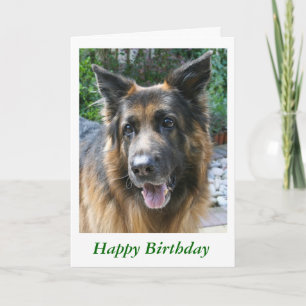 Deutscher Schäferhund Karte