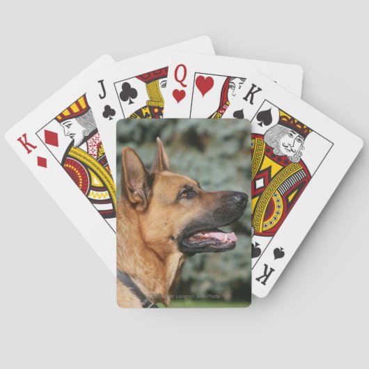 Deutscher Schäferhund Kopfaufnahme 1 Spielkarten (Rückseite)