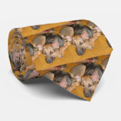 Deutscher Schäferhund Krawatte (Gerollt)