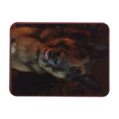 Deutscher Schäferhund-Kühlschrankmagnet Magnet (Horizontal)