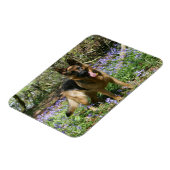 Deutscher Schäferhund legt ab Magnet (Linke Seite)