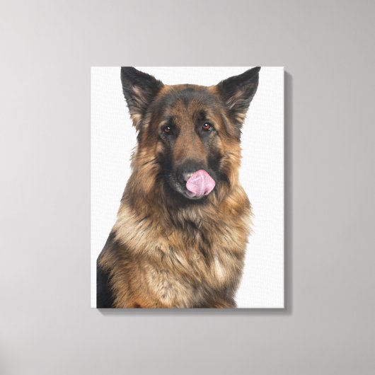 Deutscher Schäferhund Leinwanddruck (Vorderseite)