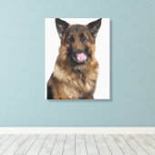 Deutscher Schäferhund Leinwanddruck (Insitu (Holzboden))