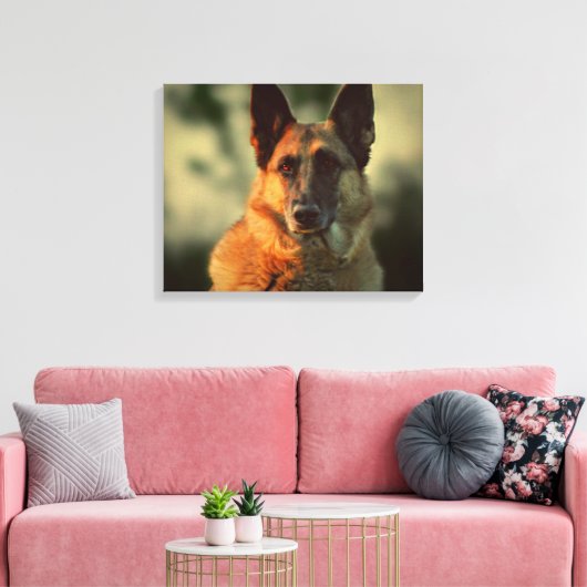 Deutscher Schäferhund Leinwanddruck (Insitu (Wohnzimmer))