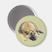 Deutscher Schäferhund Magnet (Vorderseite/Rückseite)