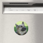 Deutscher Schäferhund Magnet (In Situ (Geschirrspüler))