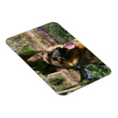 Deutscher Schäferhund Magnet (Rechte Seite)