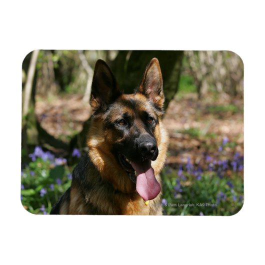 Deutscher Schäferhund Magnet (Horizontal)