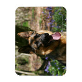 Deutscher Schäferhund Magnet (Vertikal)