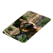Deutscher Schäferhund Magnet (Linke Seite)