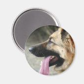 Deutscher Schäferhund Magnet (Vorderseite/Rückseite)