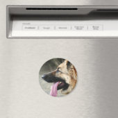 Deutscher Schäferhund Magnet (In Situ (Geschirrspüler))