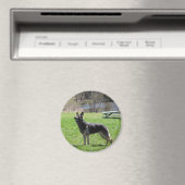 Deutscher Schäferhund Magnet (In Situ (Geschirrspüler))