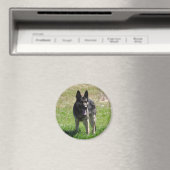 Deutscher Schäferhund Magnet (In Situ (Geschirrspüler))