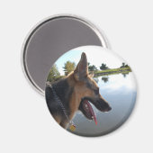 Deutscher Schäferhund Magnet (Vorderseite/Rückseite)