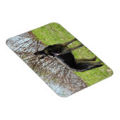 Deutscher Schäferhund Magnet (Rechte Seite)