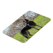 Deutscher Schäferhund Magnet (Linke Seite)