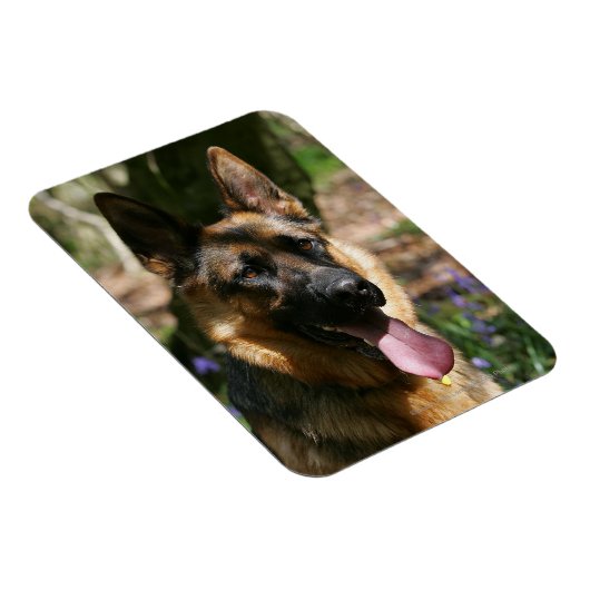 Deutscher Schäferhund Magnet (Rechte Seite)