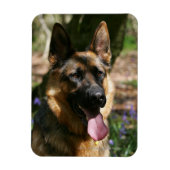 Deutscher Schäferhund Magnet (Vertikal)