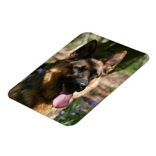Deutscher Schäferhund Magnet (Linke Seite)