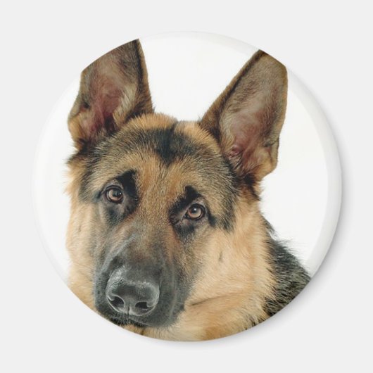 Deutscher Schäferhund Magnet (Vorne)