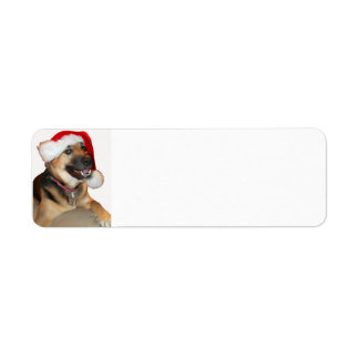 Deutscher Schäferhund mit einem Weihnachtshut