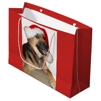 Deutscher Schäferhund mit einem Weihnachtshut Große Geschenktüte