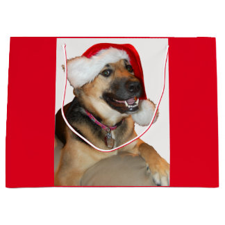 Deutscher Schäferhund mit einem Weihnachtshut Große Geschenktüte