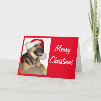 Deutscher Schäferhund mit einem Weihnachtshut Karte