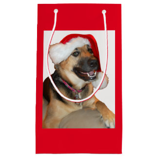 Deutscher Schäferhund mit einem Weihnachtshut Kleine Geschenktüte