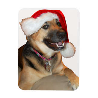 Deutscher Schäferhund mit einem Weihnachtshut Magnet
