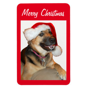 Deutscher Schäferhund mit einem Weihnachtshut Magnet