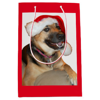 Deutscher Schäferhund mit einem Weihnachtshut Mittlere Geschenktüte