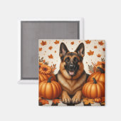 Deutscher Schäferhund mit Pumpkins und Herbstblätt Magnet (Vorderseite/Rückseite)