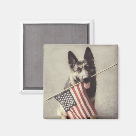 Deutscher Schäferhund mit US-Flagge Magnet (Vorderseite/Rückseite)