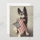 Deutscher Schäferhund mit US-Flagge Postkarte (Vorne/Hinten)