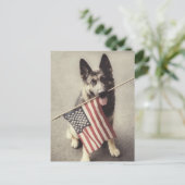 Deutscher Schäferhund mit US-Flagge Postkarte (Stehend Vorderseite)